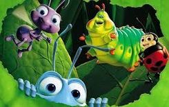 See The Bug
