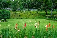  Trip To Godavari